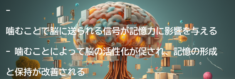 噛むことで脳に送られる信号の効果の要点まとめ