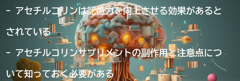 アセチルコリンサプリメントの副作用と注意点の要点まとめ