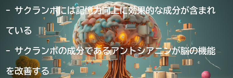 記憶力向上に効果的な成分の要点まとめ